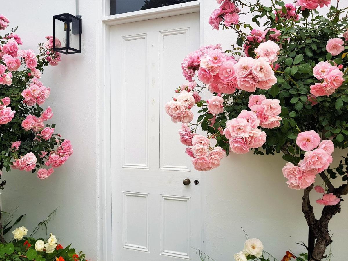 Clonmara Country House And Cottages Port Fairy Bagian luar foto