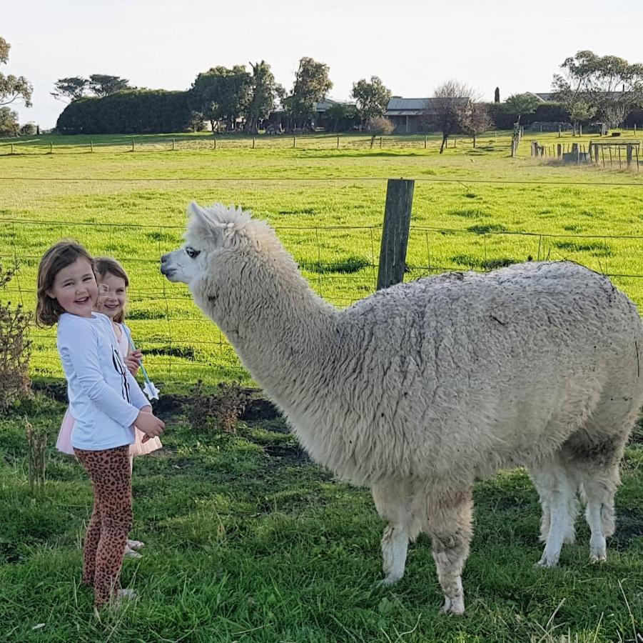 Clonmara Country House And Cottages Port Fairy Bagian luar foto