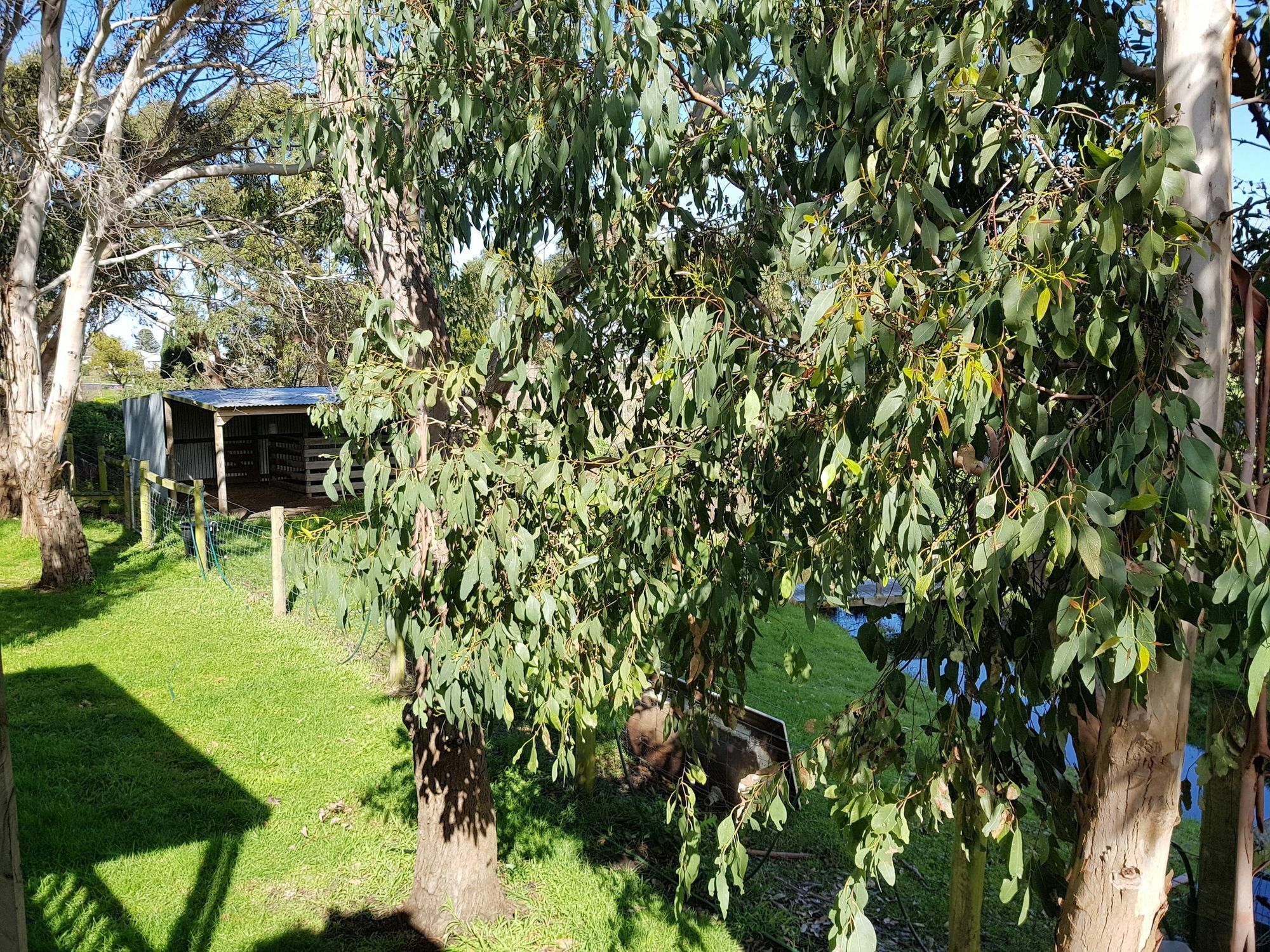 Clonmara Country House And Cottages Port Fairy Bagian luar foto