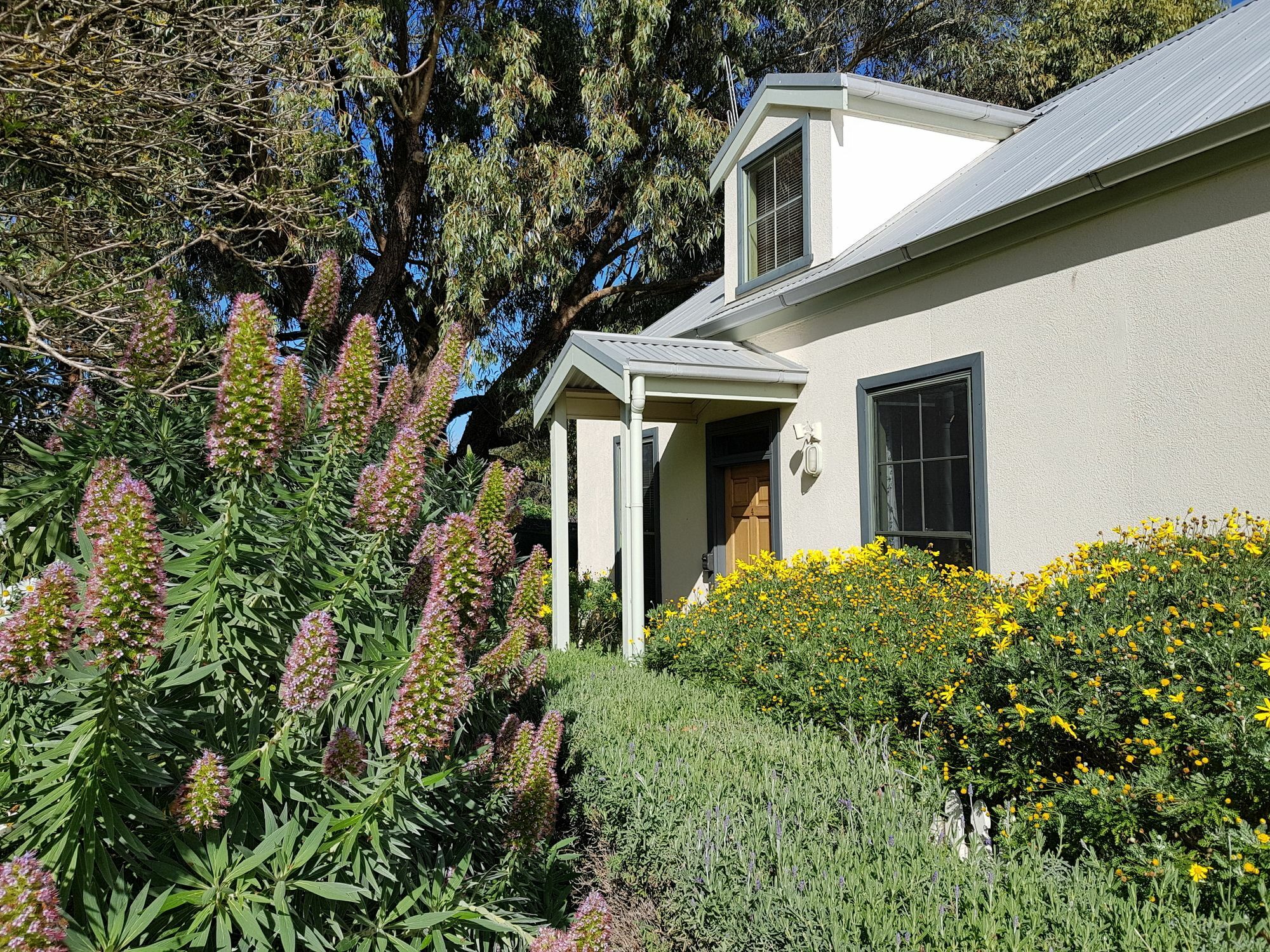Clonmara Country House And Cottages Port Fairy Bagian luar foto