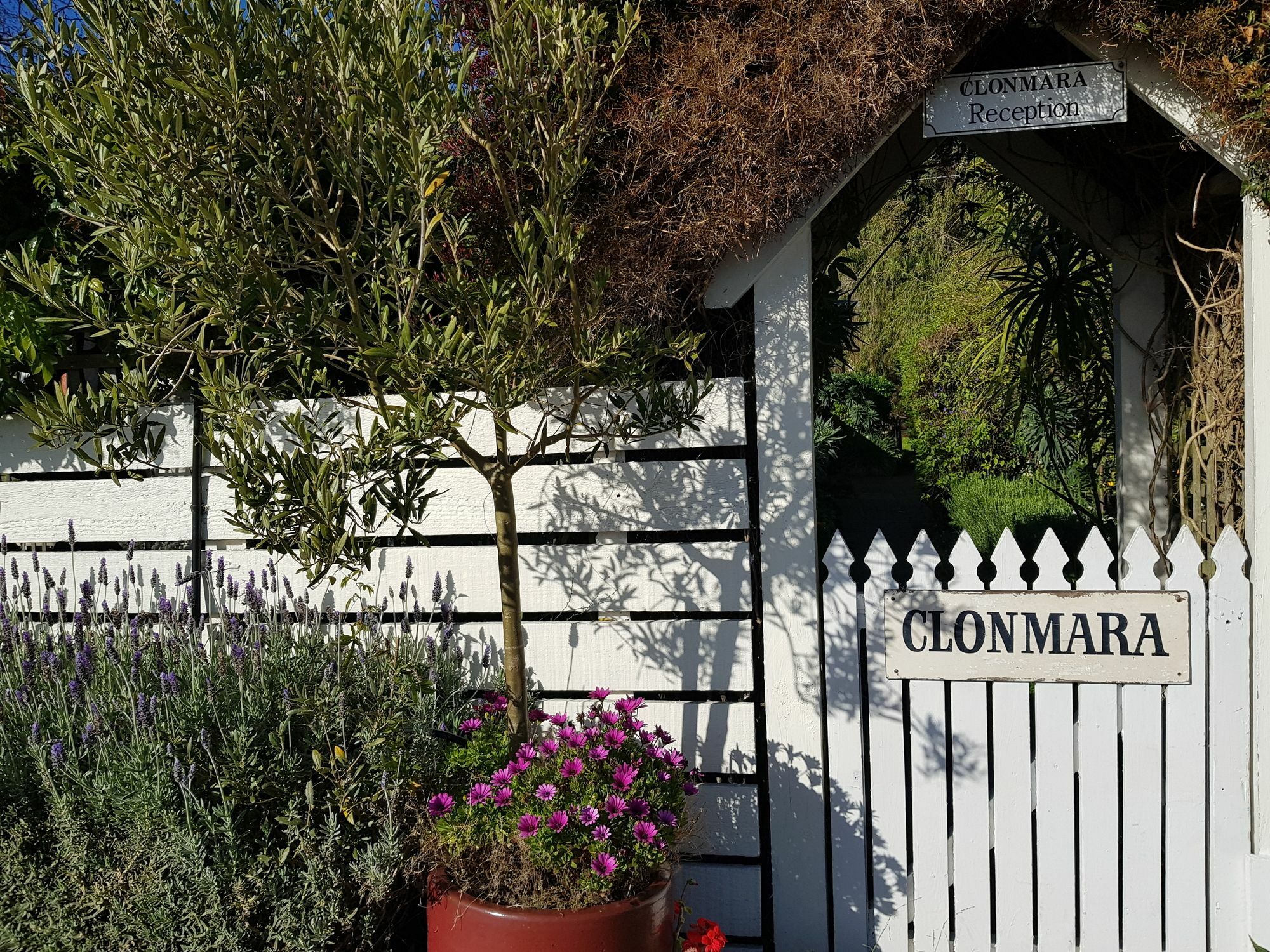 Clonmara Country House And Cottages Port Fairy Bagian luar foto